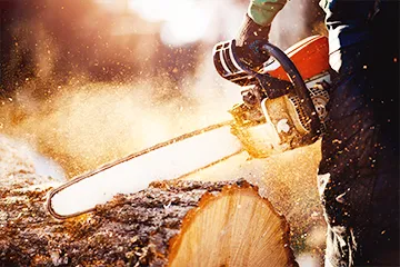 Home Page-STIHL Migration to HCL Workload Automation